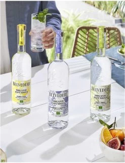 Organic Infusions Blackberry & Lemongrass Vodka 700ml -Boutique Gourmet Store R03800033 ALT02