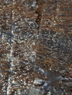 The Wasabi Company Sanpuku Non-roasted Nori Sheets Pack Of 10 -Boutique Gourmet Store R03890463 ALT01