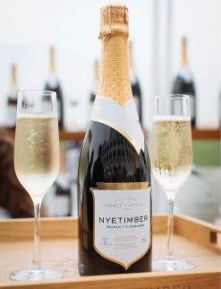Nyetimber Tillington English Sparkling Wine 750ml -Boutique Gourmet Store R04147044 ALT04